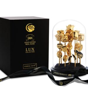 القبة الذهبية من عالم القصص الخيالية الآسر!