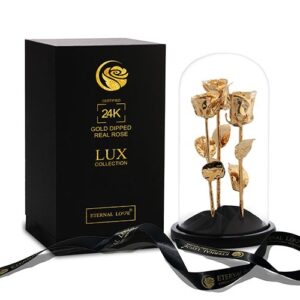 القبة الذهبية للحب الأبدي!